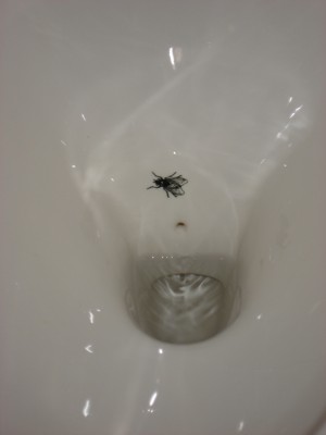 Zielbild - Fliege im Urinal