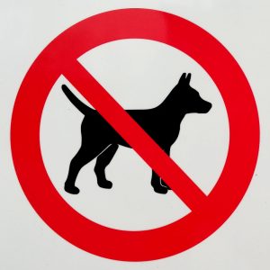 Hundeverbot