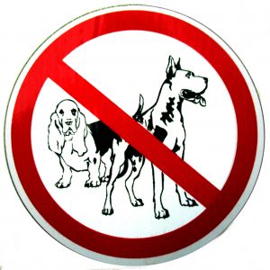 Hundeverbot mit zwei Hunden. Finnland
