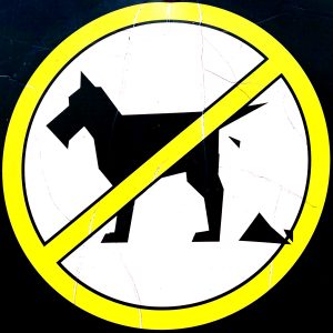 Hundeverbotsschild im Stubaitail