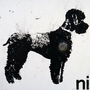 HUnde dürfen hier nicht rein. Pudel