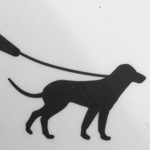 HUnde an die Leine. Schweden