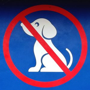 Hundeverbotspiktogramm am Strand von Tylösand